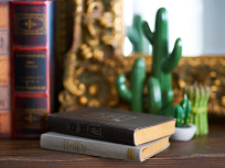 16 œuvres littéraires cultes à (re)lire pendant le confinement