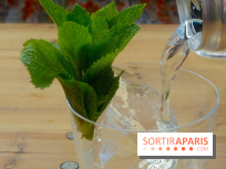 Insolite : un bar parisien lance l'un des premiers hard-seltzer français