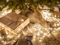 Les pop-up stores de Noël 2021 à Paris