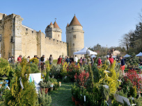 Rendez-vous aux Jardins 2023 : visite guidée et atelier potager au château de Blandy-les-Tours (77)