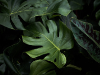 Journées du Patrimoine 2023 à l'École des Mines à Paris et son musée, au cœur de l'Hôtel de Vendôme