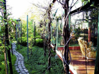 Dimanche agro-poétique à la ferme du Bonheur