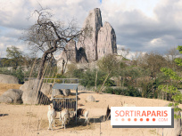 Zoo de Vincennes, Parc Zoologique de Paris 2017