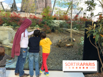 Zoo de Vincennes, Parc Zoologique de Paris 2017