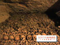 Les Catacombes de Paris
