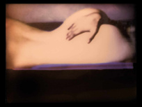 Nude Skin : l'exposition de nus à la galerie La Lison