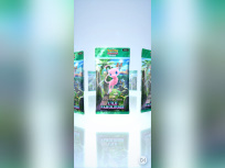 Pokemon TCG Pocket : L'Île Fabuleuse, la nouvelle extension du jeu mobile 
