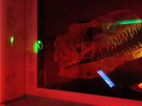 T.Rex Mission : l'escape game avec plein de dinosaures chez Escape Lab