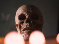 Halloween 2025 dans le Val d'Oise : les évènements pour se faire peur dans le 95