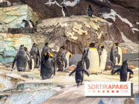 Neige et verglas : c'est quoi la posture du pingouin, pour éviter de tomber dans la rue ?