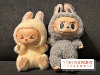 Une exposition Labubu célèbre les 10 ans de THE MONSTERS à Paris