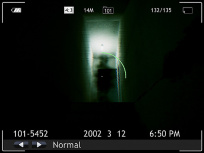 Shutter Story