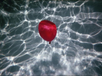 Total Baumann, les deux expositions au Showroom du Marais et à la galerie Corinne Bonnet