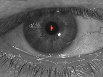 Exposition Michel Paysant à la galerie Lélia Mordoch Second Espace