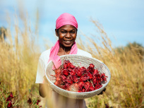 Grandeur Nature, l'exposition photo sur le Toit de la Grande Arche
