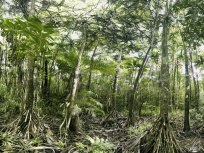Grandeur Nature, l'exposition photo sur le Toit de la Grande Arche