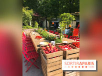 Jardins Jardin 2017 aux Tuileries, les photos