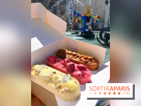 Les glaces 2017 de l'Eclair de Génie