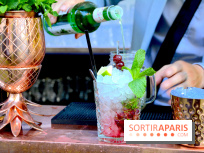 La terrasse cachée du Saint-James