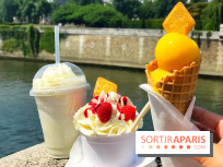 Glacerie Senoble à Paris