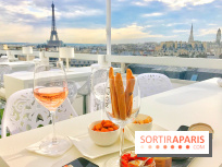 Le rooftop de l'Hôtel Marignan