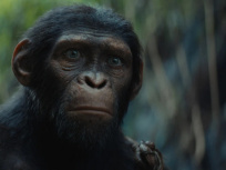 La Planète des Singes : Le Nouveau Royaume - Une ère sombre se dévoile : nouvelle bande-annonce