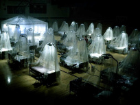Infectés : un thriller post-apocalyptique intense à voir sur Prime Video