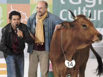 La vache: Fatsah Bouyahmed, Jamel Debbouze
