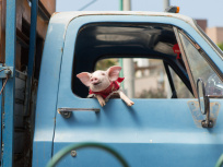 Holy Lands de Amanda Sthers : gagnez vos places ! 