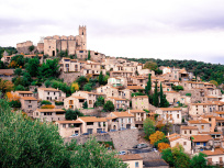 Occitanie : évolution quotidienne de la situation sanitaire dans la région