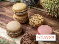 Pierre Hermé Macaron