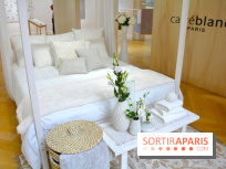 La collection automne hiver 2017 de Carré Blanc