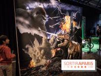 Effets Spéciaux , Crevez l'écran !