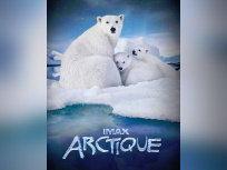arctique