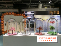 Froid à la Cité des Sciences