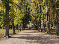 Les meilleures randonnées d'automne près de Paris 