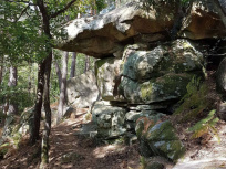 Une randonnée de Paris à Fontainebleau, le Rando'Talk Aventuriers d'Helloways