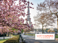 Covid : les indicateurs de l'épidémie baissent toujours en France