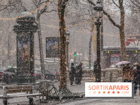 La Neige à Paris - IMG 2833