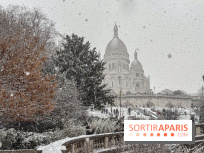 La Neige à Paris - IMG 2864