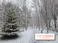 La Neige à Paris - IMG 20260105 181957