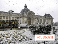 La Neige à Paris