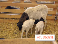 Salon de l'agriculture 2018