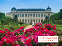 Base de données LaurentP