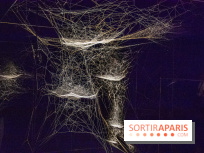 Base de données LaurentP