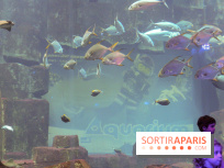 Les 60 ans de LEGO® à l'Aquarium de Paris