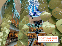 Exposition Monstera Dubia à Beaugrenelle