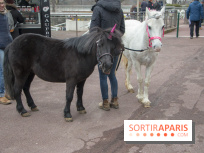 Les Dimanches au Galop 2018