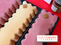 Les bûches de Noël 2022 de Benoit Castel