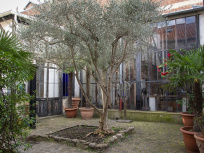 Les Impromptus de l’Olivier, le nouveau rendez-vous culturel de la Rive Gauche